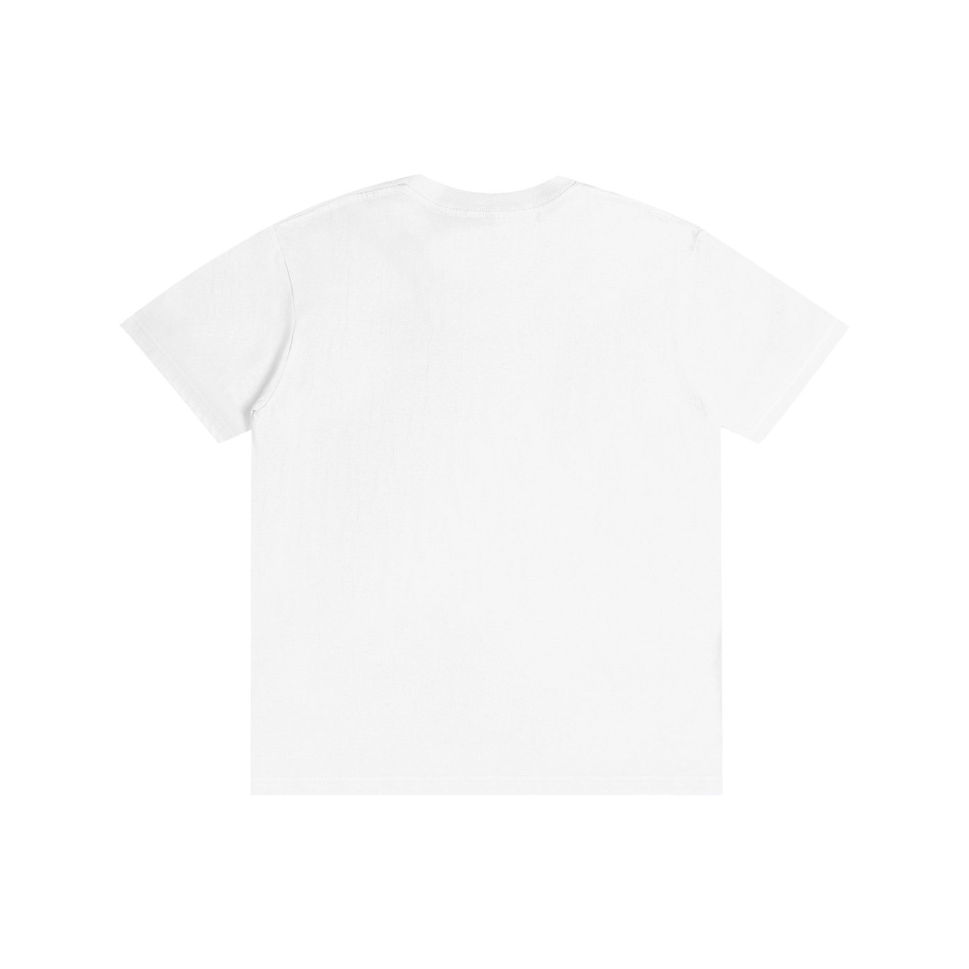 I met him in Upstate T-Shirt